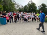 img (7)